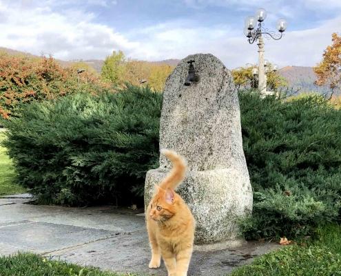 impresa costruzioni fontana pietra realizzata mano como