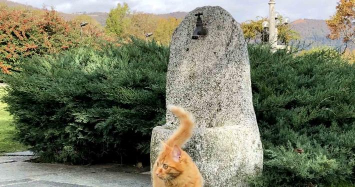 impresa costruzioni fontana pietra realizzata mano como